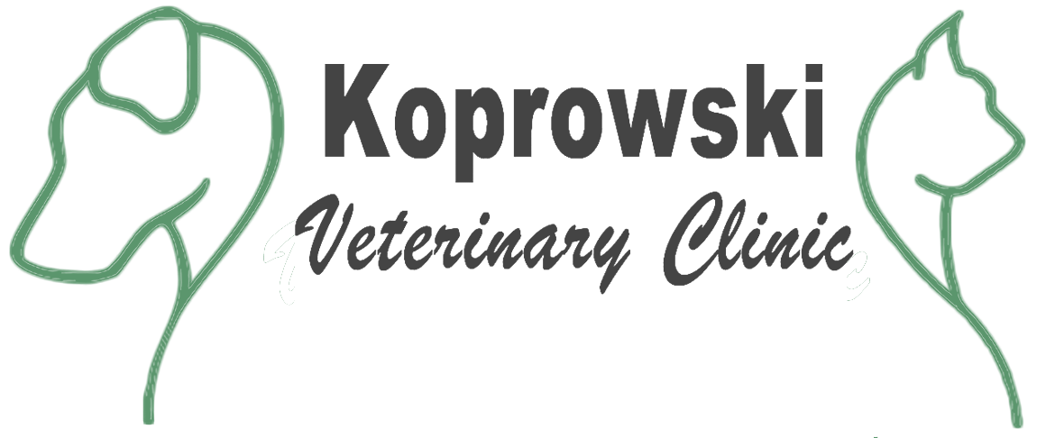 Koprowski Veterinary Clinic